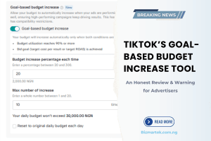 TikTok’s Goal-Based Budget Increase Tool: An Honest Review & Warning for Advertisers